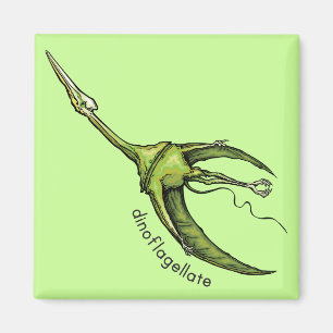 Dinoflagellat Magnet
