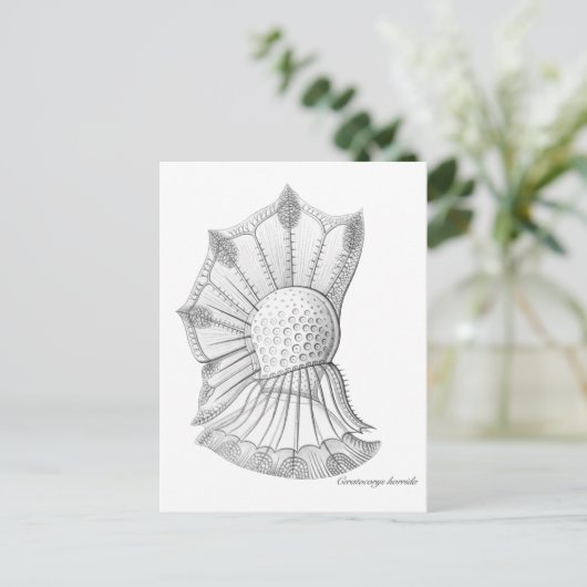 Dinoflagellat Postkarte (Stehend Vorderseite)