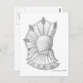 Dinoflagellat Postkarte (Vorne/Hinten)