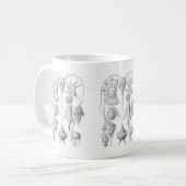 Dinoflagellates Kaffeetasse (Vorderseite Links)