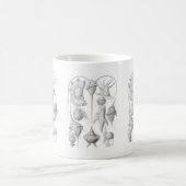 Dinoflagellates Kaffeetasse (Mittel)