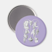 Dinoflagellates Magnet (Vorderseite/Rückseite)