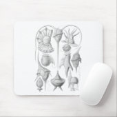 Dinoflagellates Mousepad (Mit Mouse)