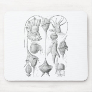 Dinoflagellates Mousepad