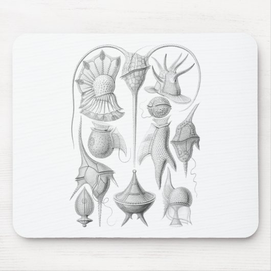 Dinoflagellates Mousepad (Vorne)