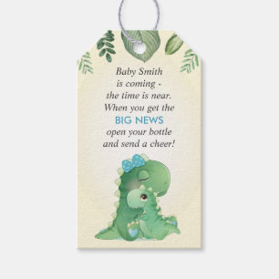 Dinosaur Baby Boy Dusche Sprinkle Flasche Gefallen Geschenkanhänger