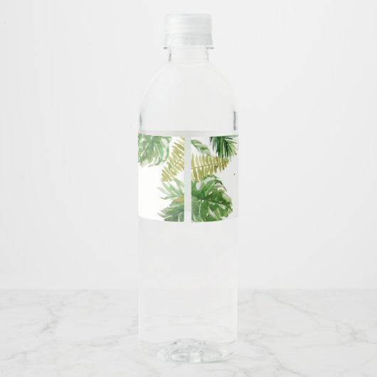 Dinosaur Baby Dusche Wasserflaschenetikett (Rückseite)