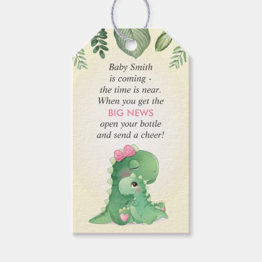 Dinosaur Baby Girl Dusche Sprinkle Flasche Gefalle Geschenkanhänger (Vorderseite)