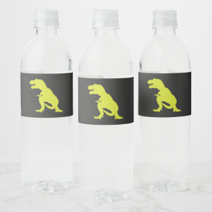 Dinosaur Birthday Modern T Rex Wasserflaschenetikett