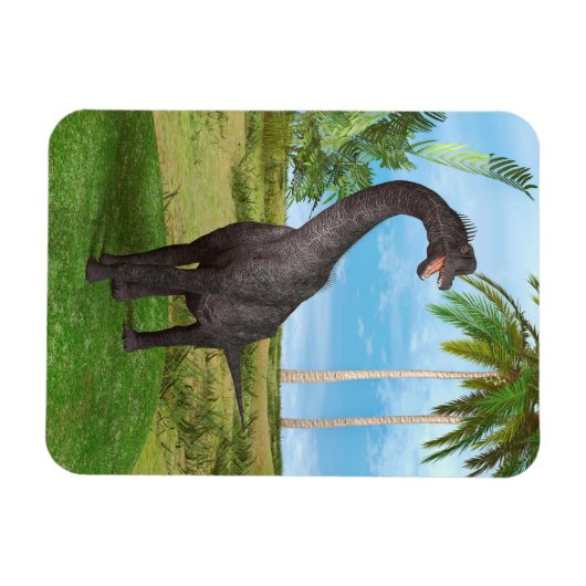 Dinosaur Brachiosaurus Magnet (Horizontal)