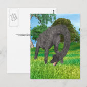 Dinosaur Brachiosaurus Postkarte (Vorne/Hinten)