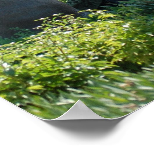 Dinosaur Brontosaurus Poster (Ecke)