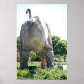 Dinosaur Brontosaurus Poster (Vorne)