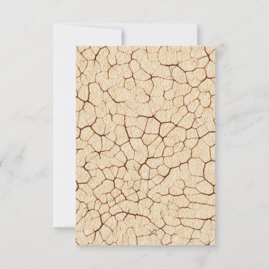 Dinosaur Danke, Card Dankeskarte (Rückseite)