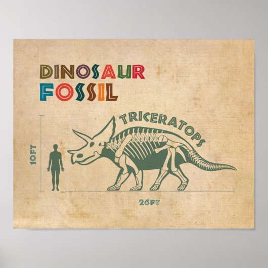 Dinosaur Fossil 3 Poster (Vorne)