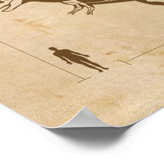 Dinosaur Fossil 4 Poster (Ecke)