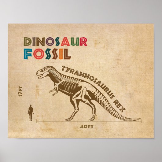 Dinosaur Fossil 4 Poster (Vorne)