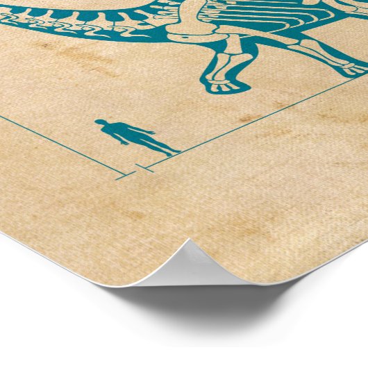 Dinosaur Fossil 6 Poster (Ecke)