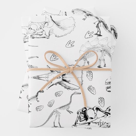 Dinosaur Fossil Bones Pattern Geschenkpapier Set (Beispiel)