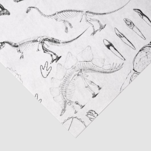 Dinosaur Fossil Bones Pattern Seidenpapier (Ausschnitt)