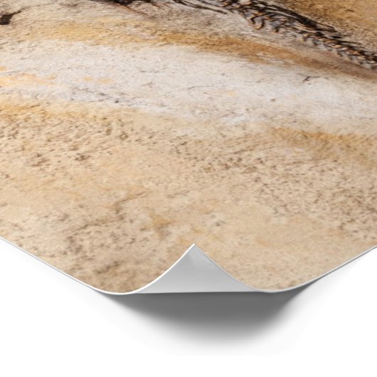 Dinosaur Fossil Poster (Ecke)