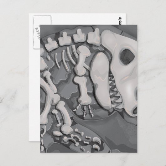 Dinosaur Fossil Postkarte (Vorne/Hinten)