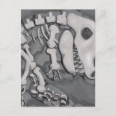 Dinosaur Fossil Postkarte (Vorderseite)