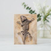 Dinosaur Fossil Postkarte (Stehend Vorderseite)