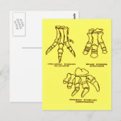 Dinosaur-Fußknochen Postkarte (Vorne/Hinten)