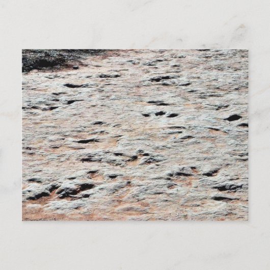 Dinosaur-Fußspuren Postkarte (Vorderseite)