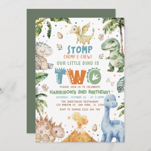 Dinosaur Geburtstagsparty Einladung (Vorne/Hinten)