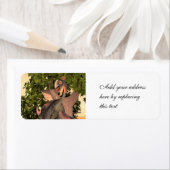 Dinosaur Gigantoraptor (Insitu)