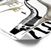 Dinosaur Groups Scale Poster Chart Gregory Paul #1 (Ecke)