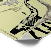Dinosaur Groups Scale Poster Chart Gregory Paul #2 (Ecke)