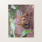 Dinosaur Jigsaw Puzzle - Placerias (Vertikal)