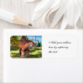 Dinosaur Kentrosaurus (Insitu)