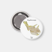 Dinosaur Magnet Regaliceratops Greg Paul (Vorderseite/Rückseite)