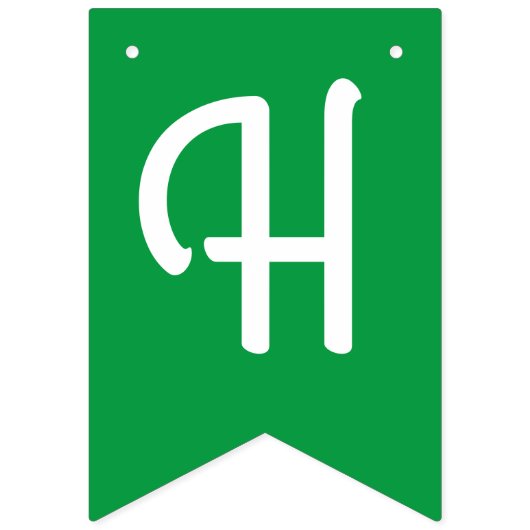 Dinosaur Niedlich Happy Birthday Banner (Zweite Fahne)