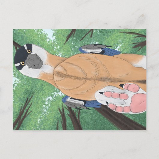 Dinosaur postcard - Dromaeopodus Postkarte (Vorderseite)