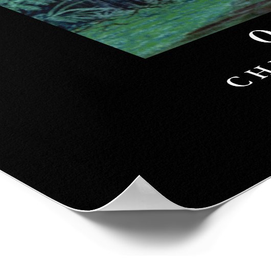 Dinosaur Poster Omeisaurus Gregory Paul (Ecke)