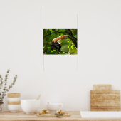 Dinosaur Poster - Thalassodromeus Tukane (Küche)