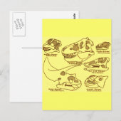 Dinosaur-Schädel Postkarte (Vorne/Hinten)
