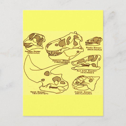 Dinosaur-Schädel Postkarte (Vorderseite)