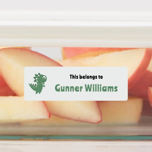 Dinosaur School Name Labels Etiketten (Befestigt)