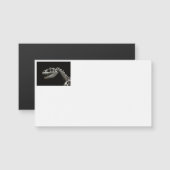 Dinosaur Skeleton Business Cards Magnetkarte (Vorne/Hinten)