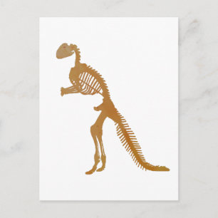 Dinosaur Skeleton Postkarte