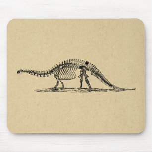 Dinosaur Skeleton Vintag Art Mousepad