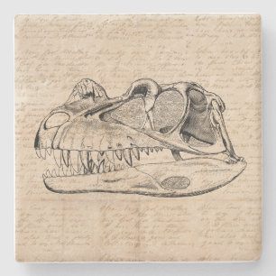 Dinosaur Skull Illustration & Antique Script Paper Steinuntersetzer