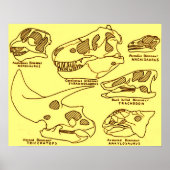 Dinosaur Skulls Poster (Vorne)