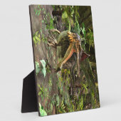 Dinosaur Spinosaurus Fotoplatte (Seite)